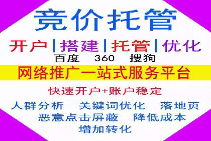 电商平台信息流广告的投放策略与效果评估案例